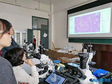 顯微互動實驗室生物教學(xué)