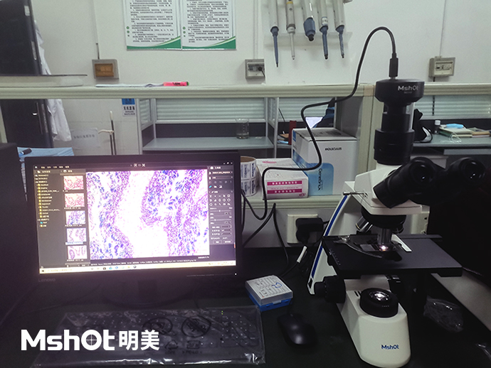 河蜆可以用什么顯微鏡觀察？