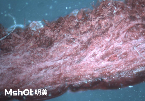 皮革質(zhì)量和真假鑒定，要用什么顯微鏡？