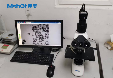 石墨烯用什么顯微鏡觀察？
