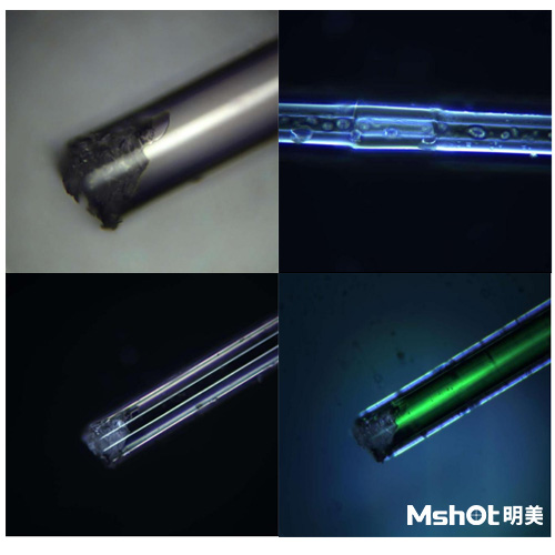 光纖用什么顯微鏡觀察？