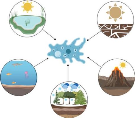 Jamella! Unearthing the Secrets of this Free-Living Amoeboid